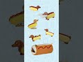 Class may be serious…your stationery doesn’t have to be. #hotdog  #dachshund #stationery#gifts #fyp