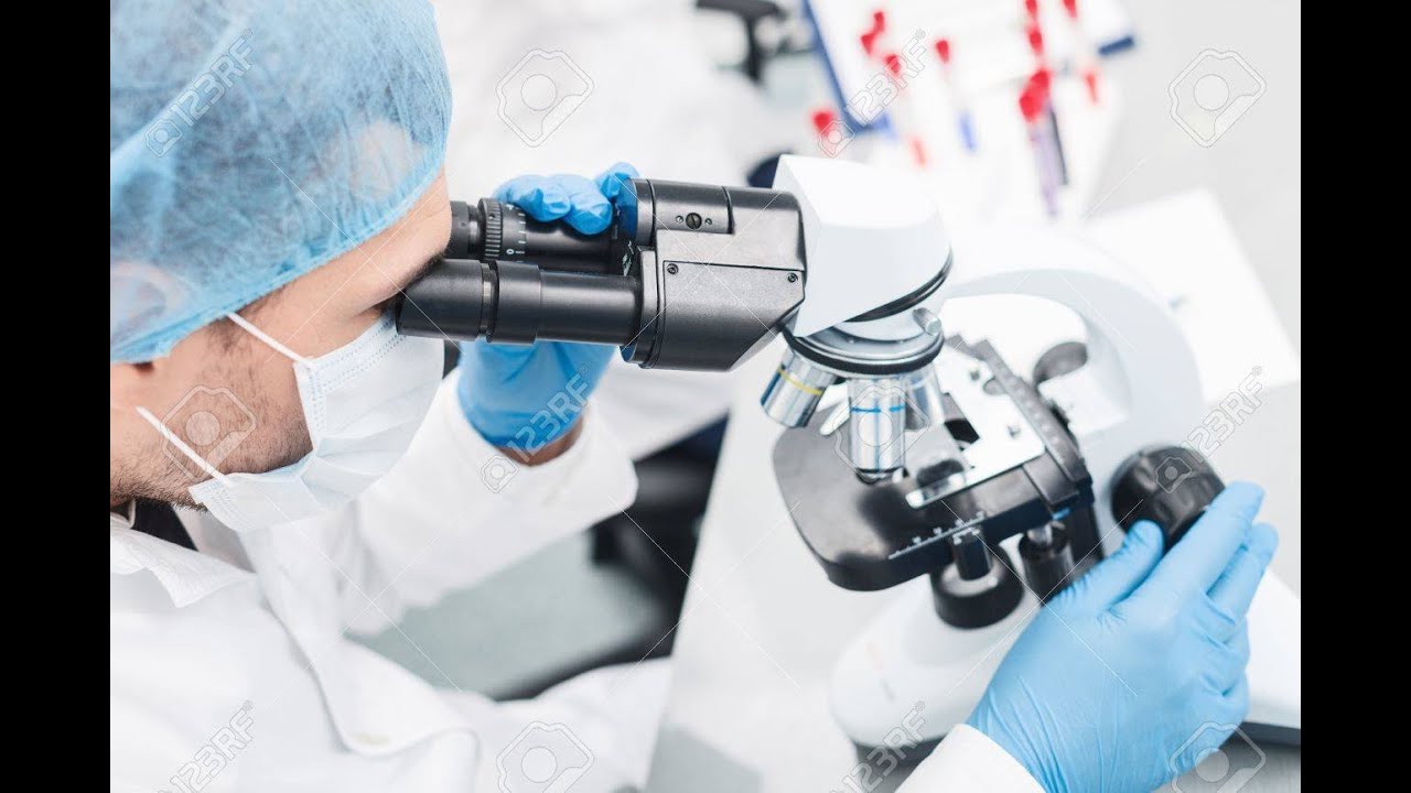 MIRANDO COSAS CON UN MICROSCOPIO - YouTube