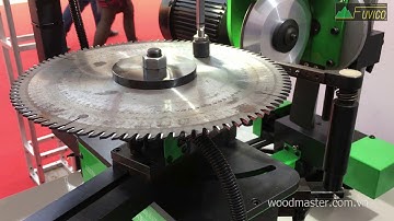 MÁY MÀI LƯỠI CƯA ĐĨA TỰ ĐỘNG WOODMASTER