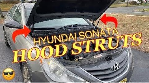 HYUNDAI SONATA HOOD STRUTS LIFT SUPPORT REPLACEMENT - How to Change Hood Struts on a Hyundai or Kia