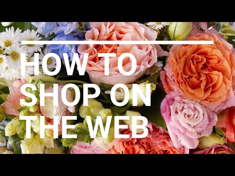 How to Shop on the Web
