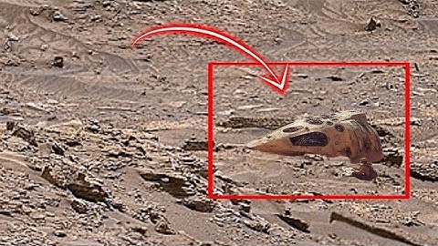 NASA