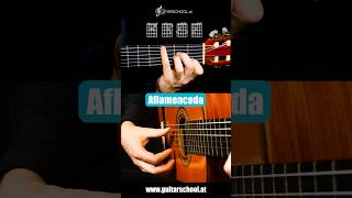 The Most Underrated FLAMENCO Guitar Chord Progression Ever