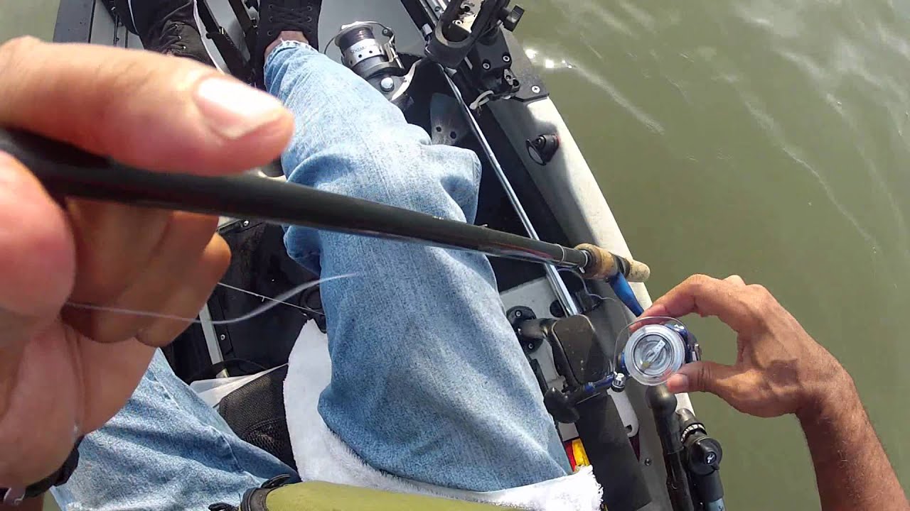Trolling for Trout and Rockfish from Kayak YouTube