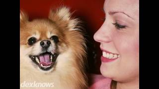 Canine Design Inc Decatur IN 46733-9168