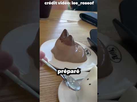 These Cat Shaped Piddings Are So Cute Shortsvideo 