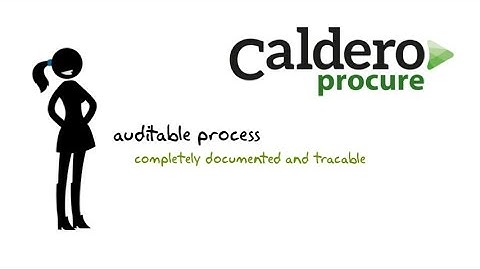 auditable process v2