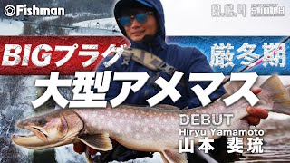 BC4 5.10LH アーカイブ - Fishman（フィッシュマン）