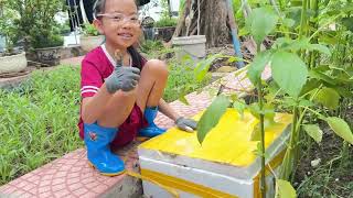 Video_HaNoi_TruongTHVinschoolTimescityT36_NguyenKhanhLinh_20.06.2016_5B2