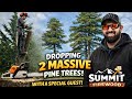 Taking Down Giant Pines (With a Special Guest! @Donovanwarren717 ) | Wood Yard Expansion