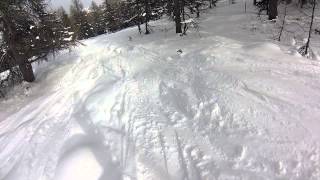 Vars 2015