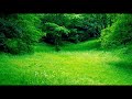 木島ユタカ「かげろうトンネル」official MV