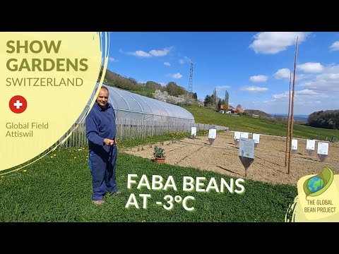 You Are Always Welcome! (April) – Global Field Attiswil 🇨🇭 #1 | Global Bean Show Gardens