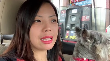 How to say “Where is the gas station?” in Vietnamese