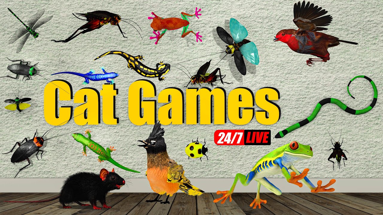 Cat Games LIVE 24/7 🐱 | Birds, Bugs, Lizards & Mouse for Cats to Watch | Cat TV