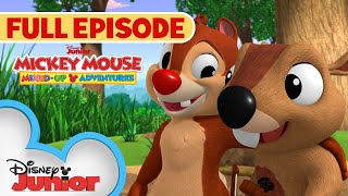 Dale's New Pal | S1 E32 | Full Episode | Mickey Mouse: MixedUp Adventures | @disneyjunior