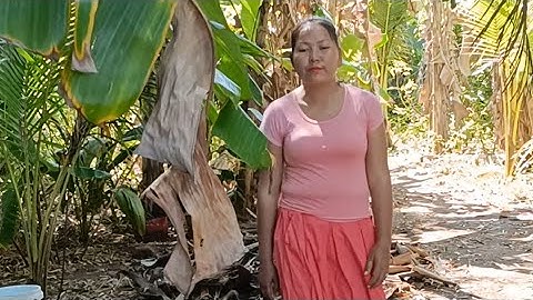 Fry grasshopper and sour banana flower with fish soup!