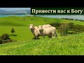 "Привести нас к Богу". П. Г. Костюченко. МСЦ ЕХБ.