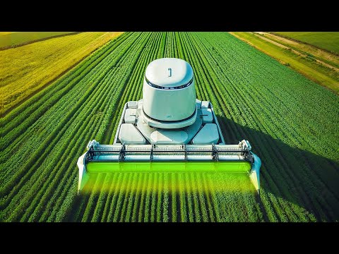 How This Farming Robot Removes 500,000 Weeds Per Hour