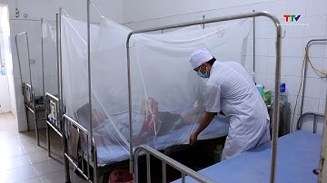 Sốt xuất huyết tăng mạnh với hơn 110 nghìn ca mắc| NSTH