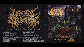 Cerebral Secretion - Infinite Realms of Decay