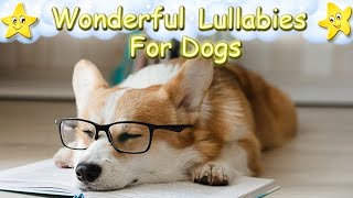 Dog Music Music For Corgi Dogs ♫ Calm Relax Your Corgi Pembroke ♥ Soft Lullaby For Pets Animal Music