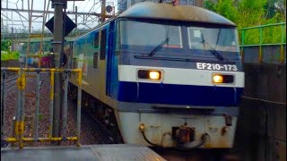 EF210-173号機 北府中駅 高速通過シーン