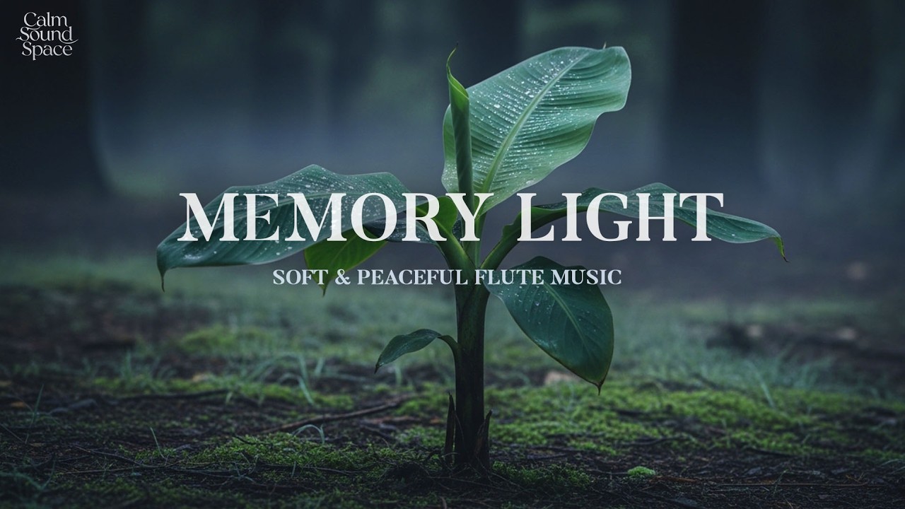 Beautiful and calming flute melody for deep night relaxation 🎶 helping you sleep fast and peacefully