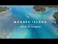 Most beautiful lagoon in the world dance with sharks and stingrays in moorea  4k drone footage