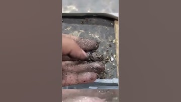 Vỡ hết bánh vít hộp giảm tốc nmrv chỉ vì... #hopgiamtocnmrv #hopgiamtoc #nmrv #shorts