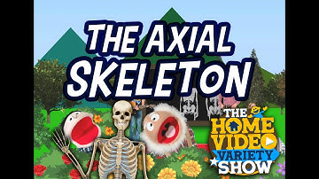 Cycle 3 Week 2 Science: The Axial Skeleton