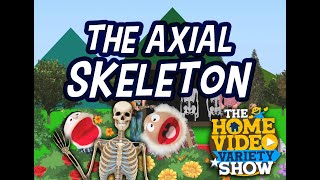 Cycle 3 Week 2 Science: The Axial Skeleton