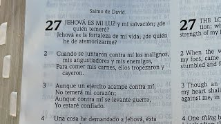 Salmó 27