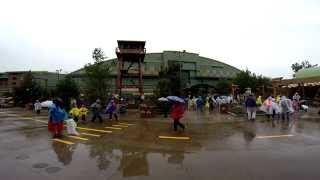 Taking It In - Grizzly Peak in the Rain - Disneys California Adventure
