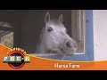 Take a Field Trip to a  Horse Farm | KidVision Pre-K