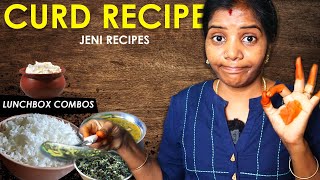 Recipe : கொழு கொழுன்னு கெட்டி தயிர் 😋| Lunch Box Recipe #08 🍚| Jeni