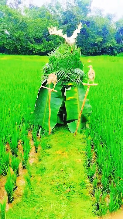 Indonesia south Africa Chi italy sculia 🦩🦩🦩🦩🦩🦩Jungle Book security