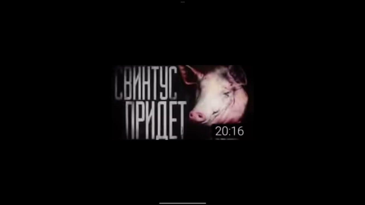 Свинтус придет - YouTube