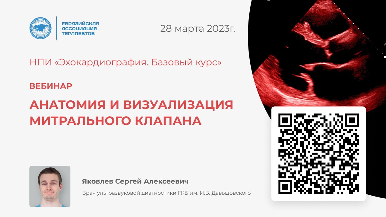 Анатомия и визуализация митрального клапана