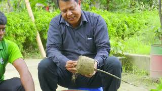 ছাদ বাগানের জন্য আদর্শ মাটি ও টব তৈরির কৌশল