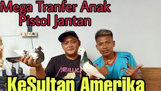 Mega Transfer Anak Pistol Jantan Pakleknya Rampok ke Bos Roni Amerika