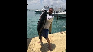 Bahamas Yellowfin Tuna June 2019 Kydyn Fishing