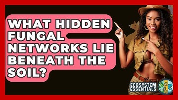 What Hidden Fungal Networks Lie Beneath The Soil? - Ecosystem Essentials