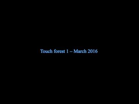 touch Forest Recap touch Forest Recap Thumbnail