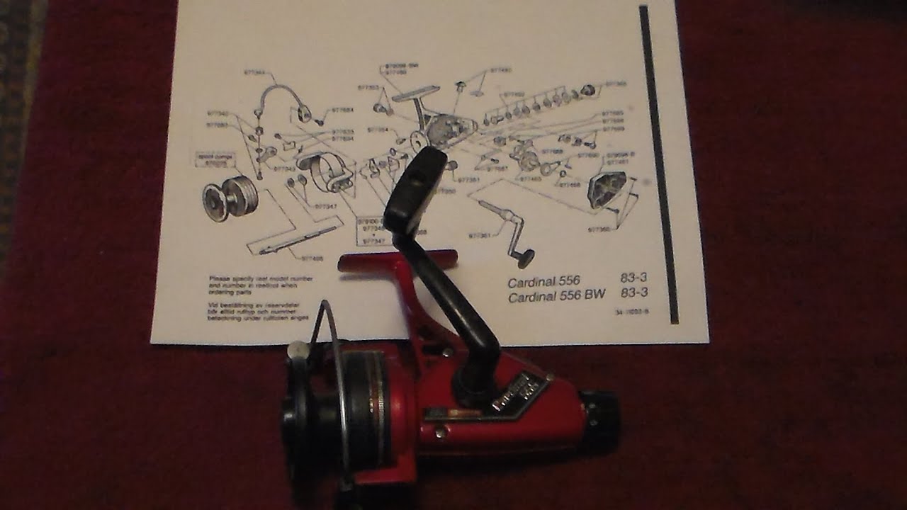 YoungMartin'sReels - ABU Garcia Cardinal 556 Disassembly, Cleaning