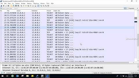 how to capture TCP packets using wireshark  CCNA LAB 2