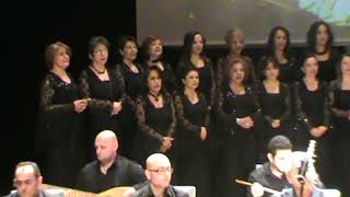 UFAK UFAK KARINCA -- HAMOY YETİŞKİNLER KOROSU