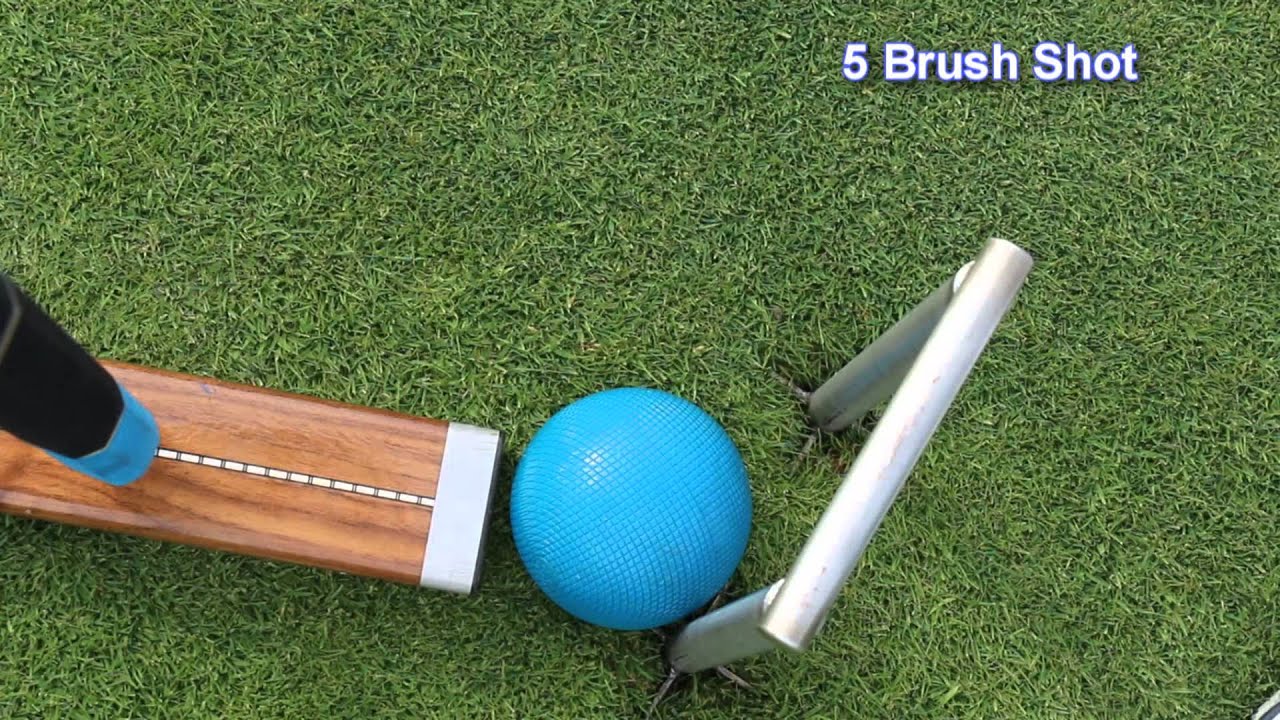 USCA Croquet Referee 10 Eight Wicket Shots (Plus Three Others) In Real