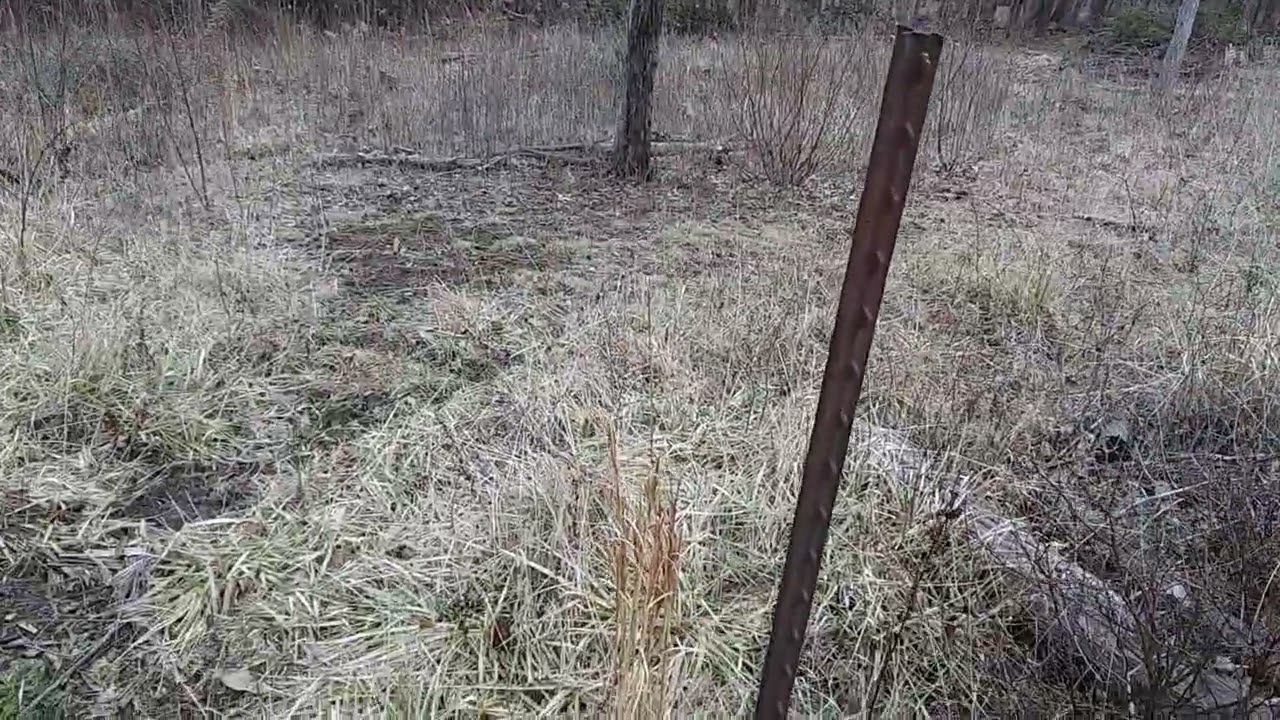 2026 02 17 The Northeast Pasture Section 6