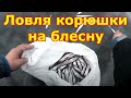 Ловля корюшки на блесну